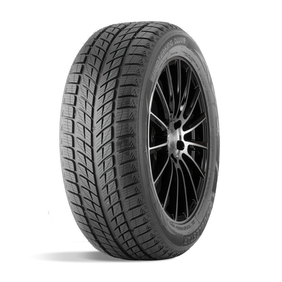 Doublestar DW09 255/55 R20 107H  